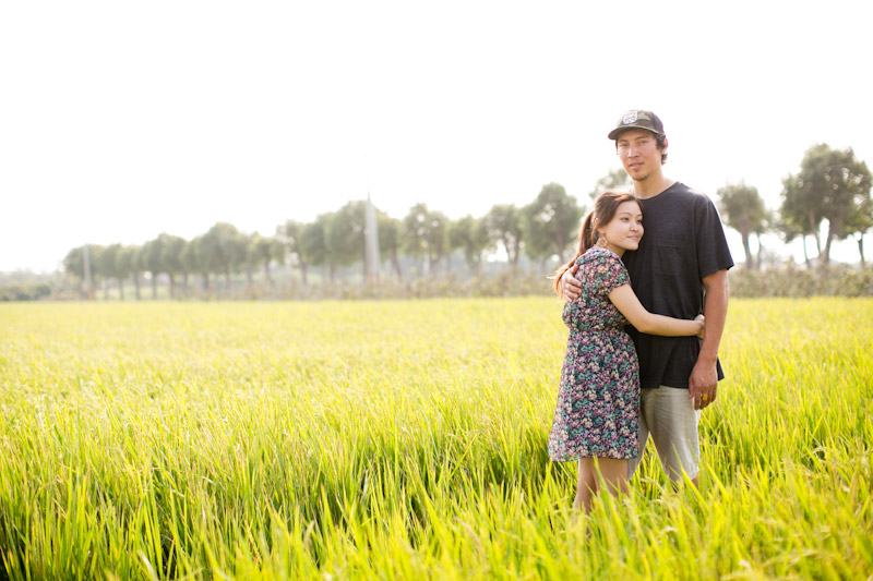 Taiwan wedding. Engaged couple hugging in rice fields. 