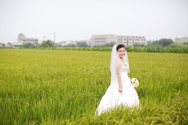 Taiwan wedding. Bride in rice field. (1 of 2)