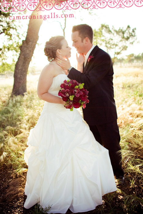 Wedding pictures of Austin + Allison taken by Cameron Ingalls at Meridian Vineyard in Paso Robles, CA