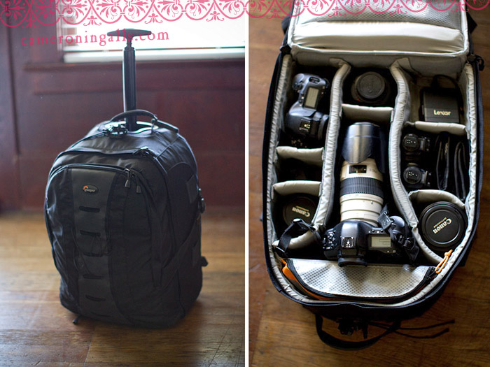 LowePro roller camera bag for sale