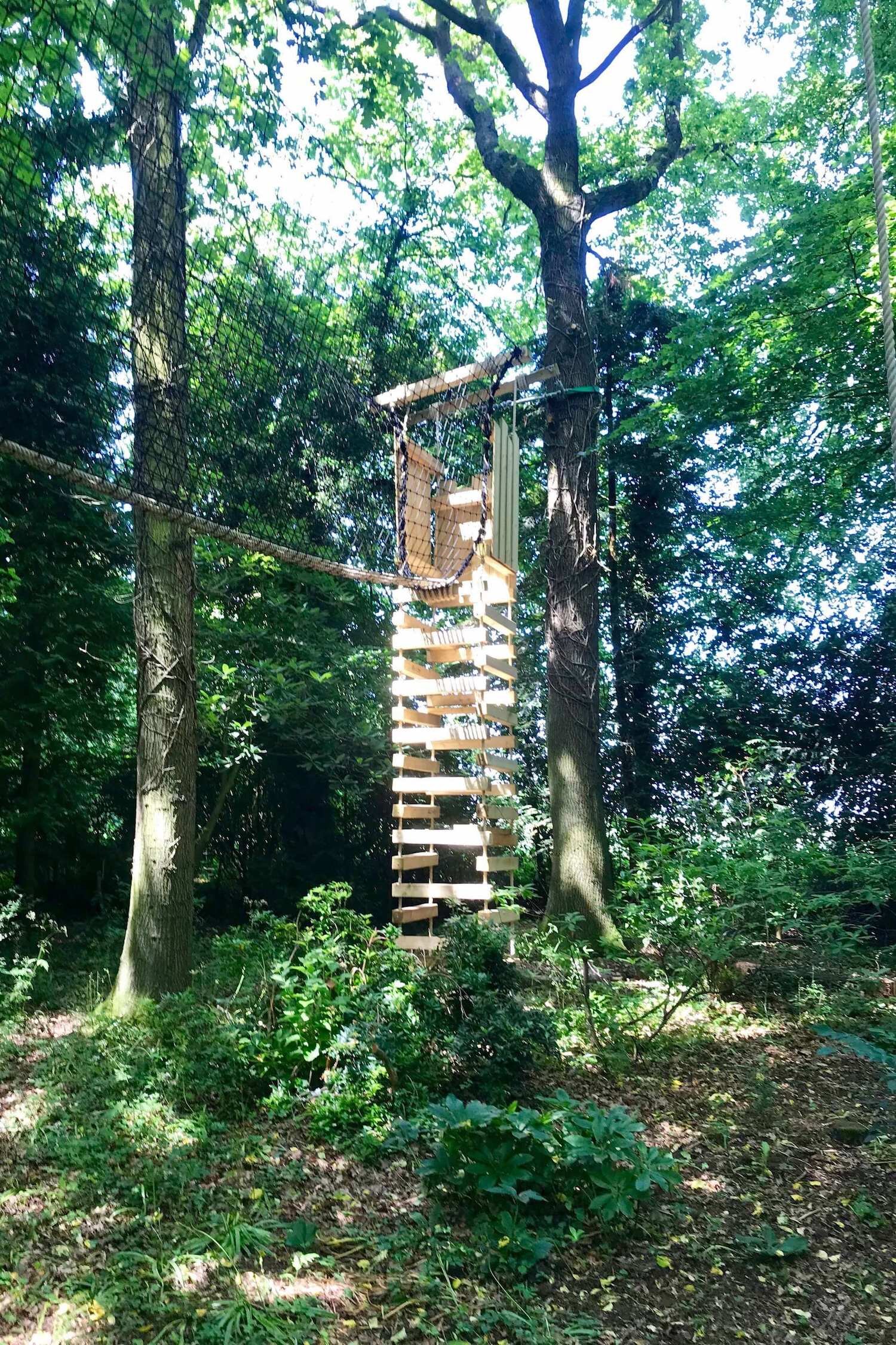How Do I Place a Rope Ladder in the Forest 