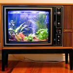 tv - aquarium