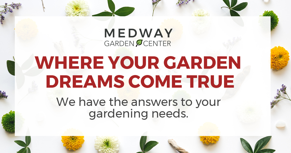 Medway Garden Ctr