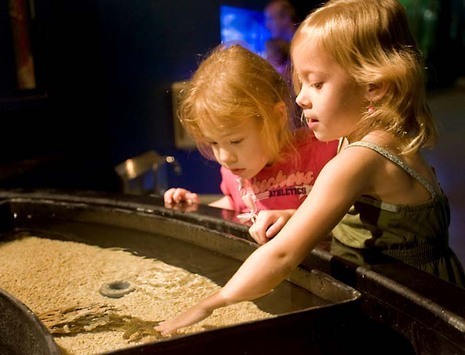 One touch tank