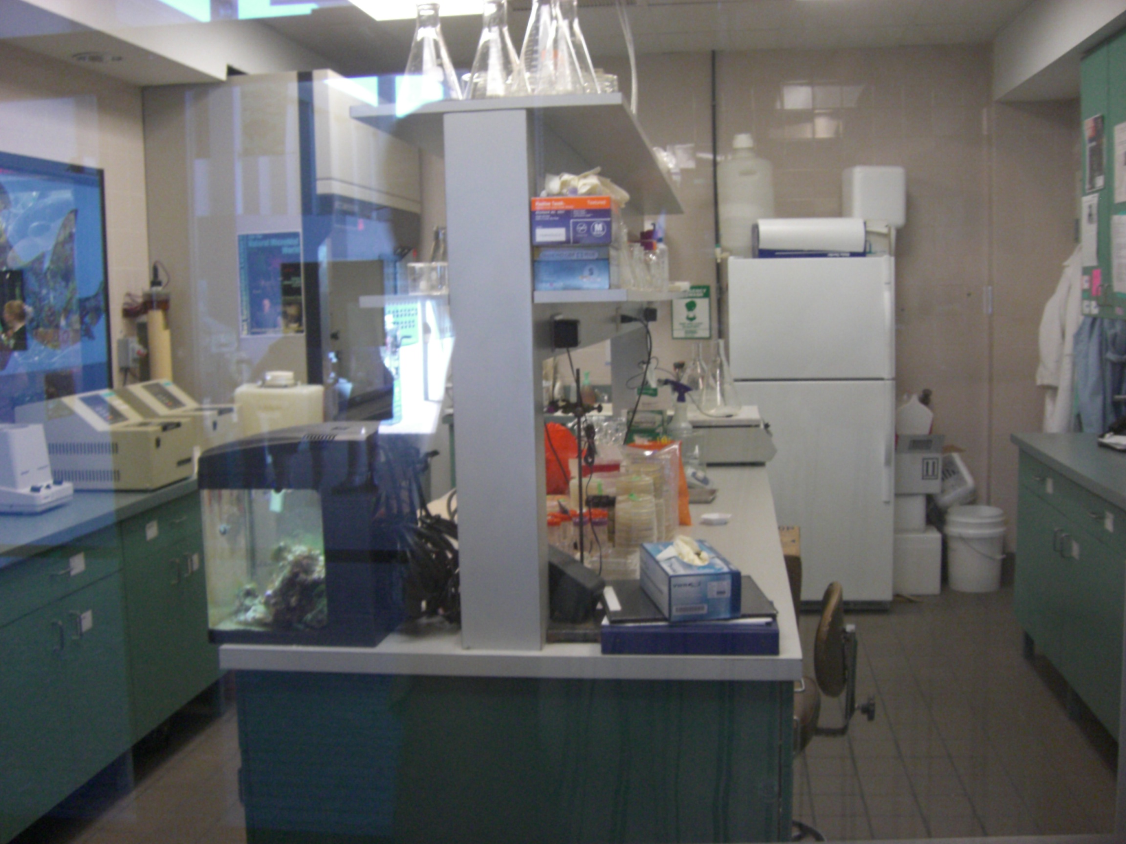 'Behind the Scenes at the Lab' Exhibit