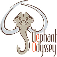 logo_elephant_odyssey