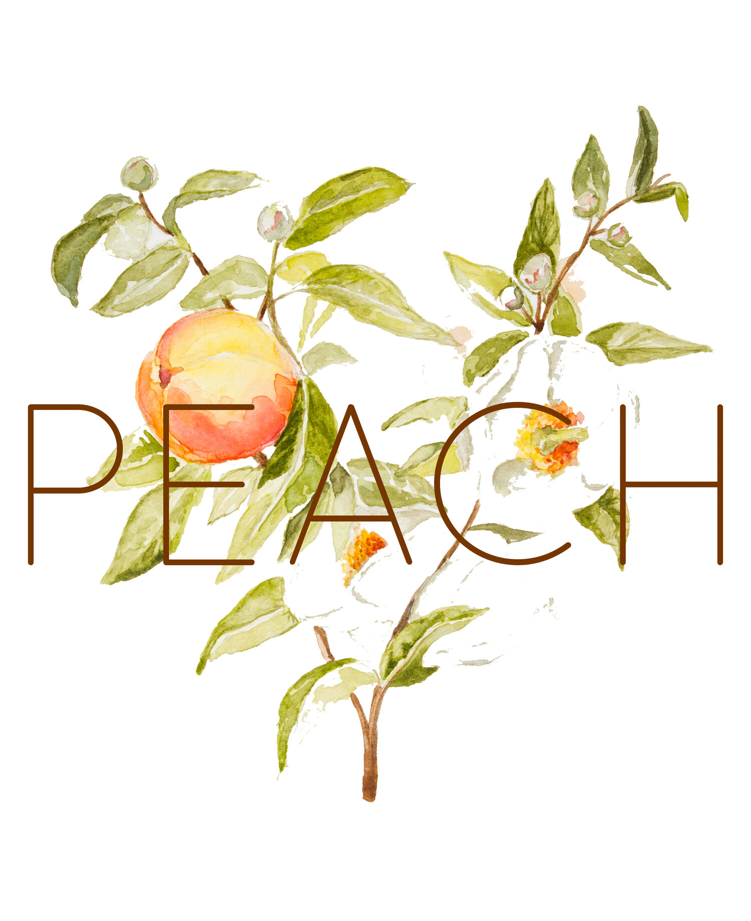Featured image of post Retro Vintage Peach Aesthetic