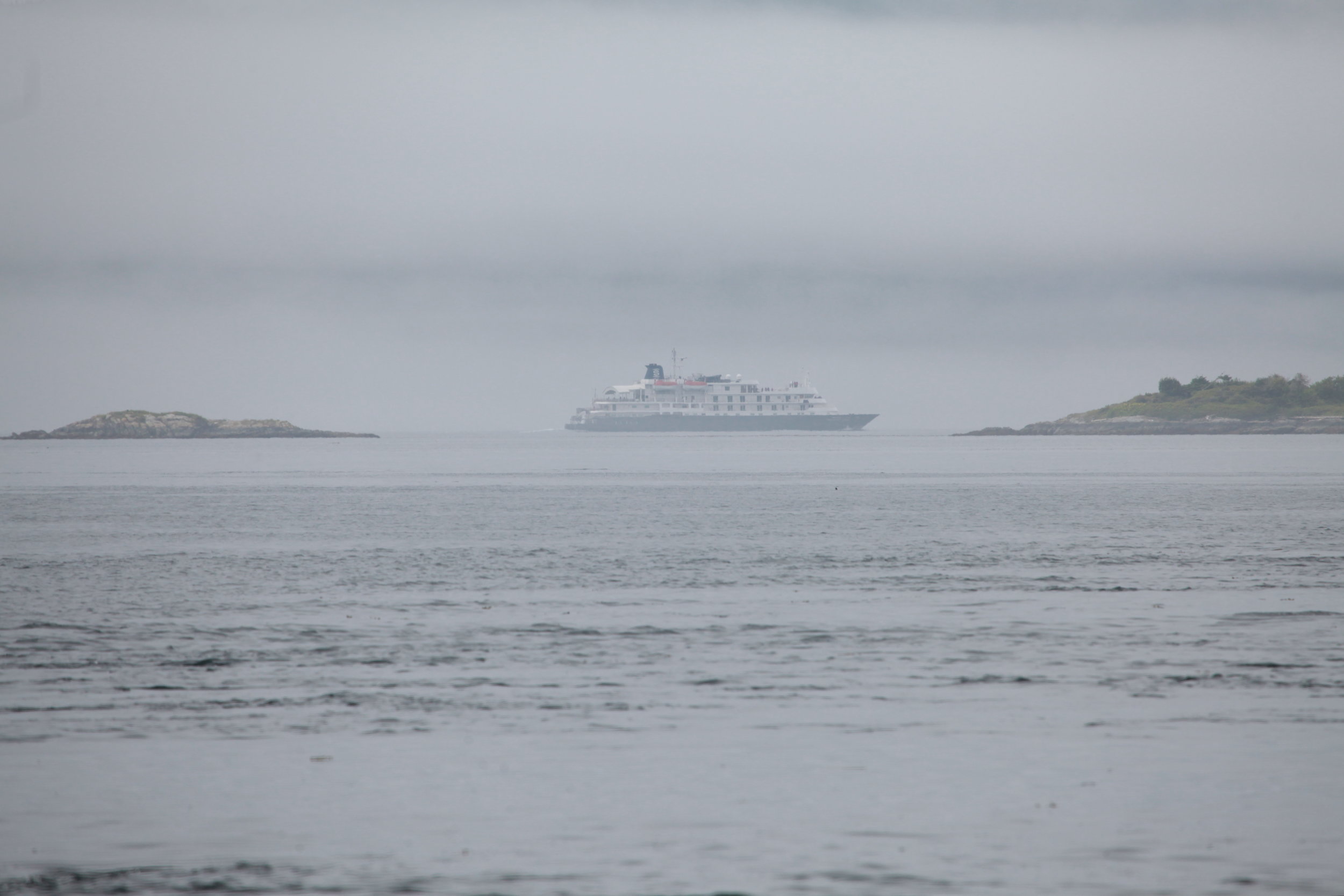 Cruise ship in Johnstone Strait