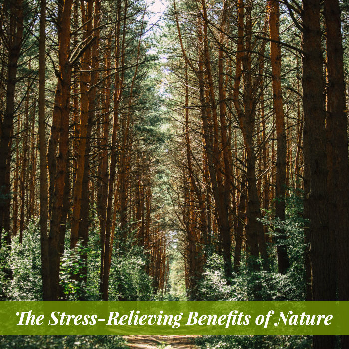 Would you like to reclaim your calm, your cognitive clarity, and your productivity. Discover the stress-relieving benefits of nature.