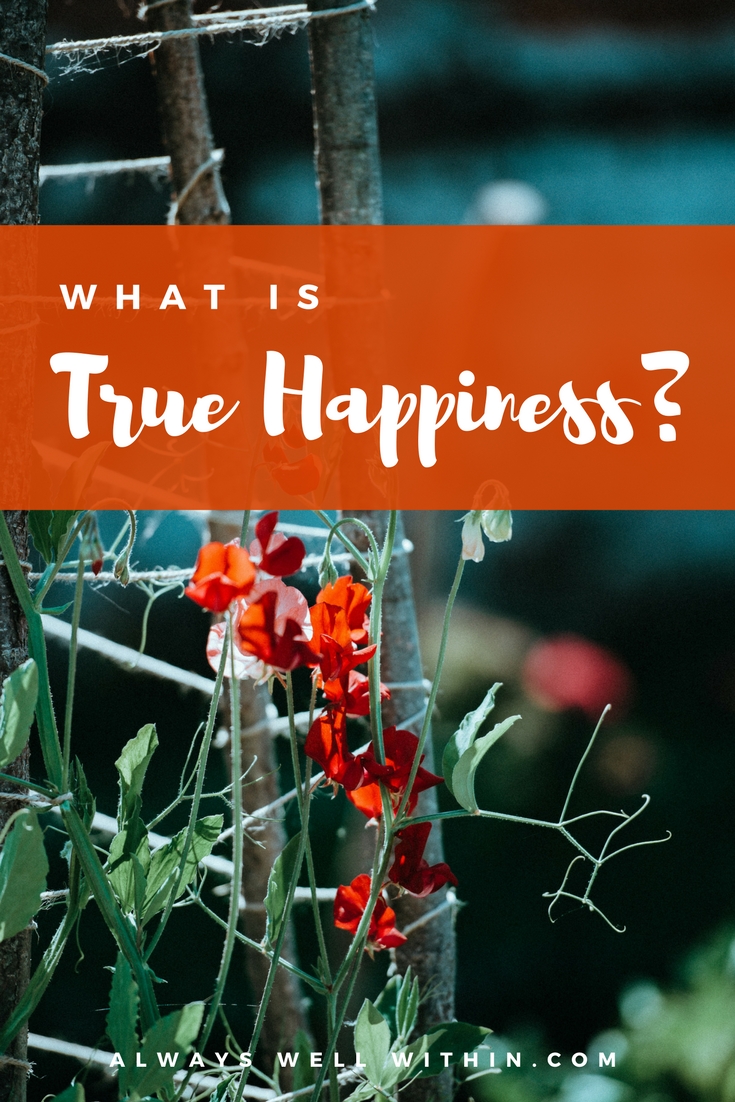Looking for a more lasting happiness? Try these simple steps. #happiness #truehappiness #genuinehappiness #selfimprovement #personalgrowth