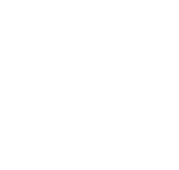 www.academyoflions.com