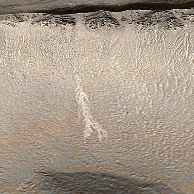 Present Day Water Flows on Mars