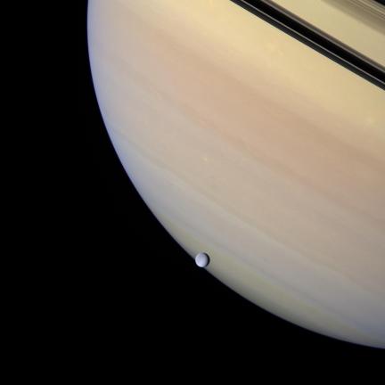 Rhea transits Saturn’s cloud tops