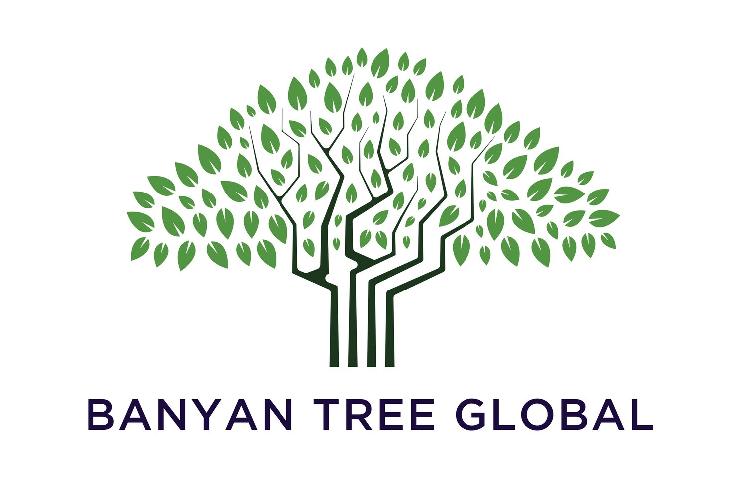 BANYAN TREE GLOBAL
