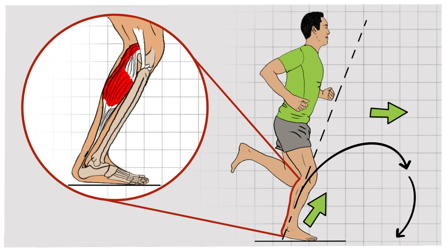 Biomechanics of Barefoot Running: 6 Risks and Benefits - Stay Tuned Sports  Medicine