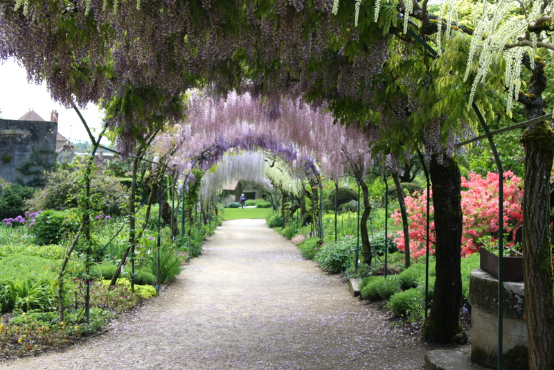 A wisteria covered arbor at the gardens in Apremont, France