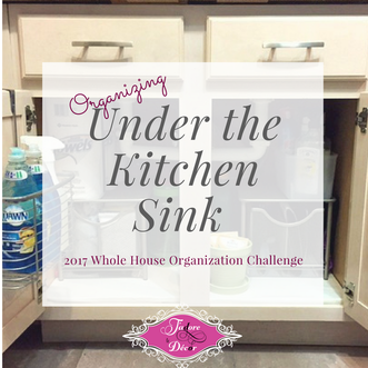 Week Three Task 1 Organizing Under The Kitchen Sink J