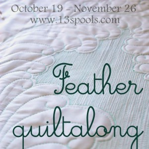 http://www.13spools.com/p/feather-free-motion-qal.html