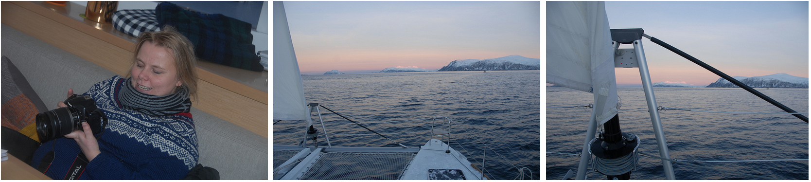 #whale #Safari | Last trip to #Tromsø