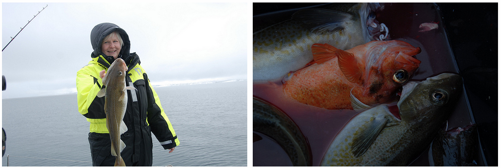 #Fishing | #Tromso | guests Germany