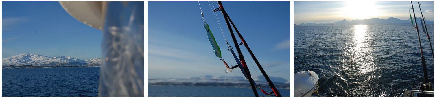 #Tromso |#Fishing | February 23