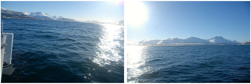 Sailing | Tromso | Fishing | Sun | Norway
