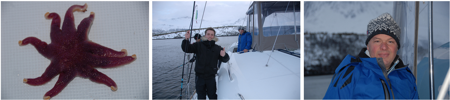 Fjordcruise | Sailing | Fishing | Tromso | Norway