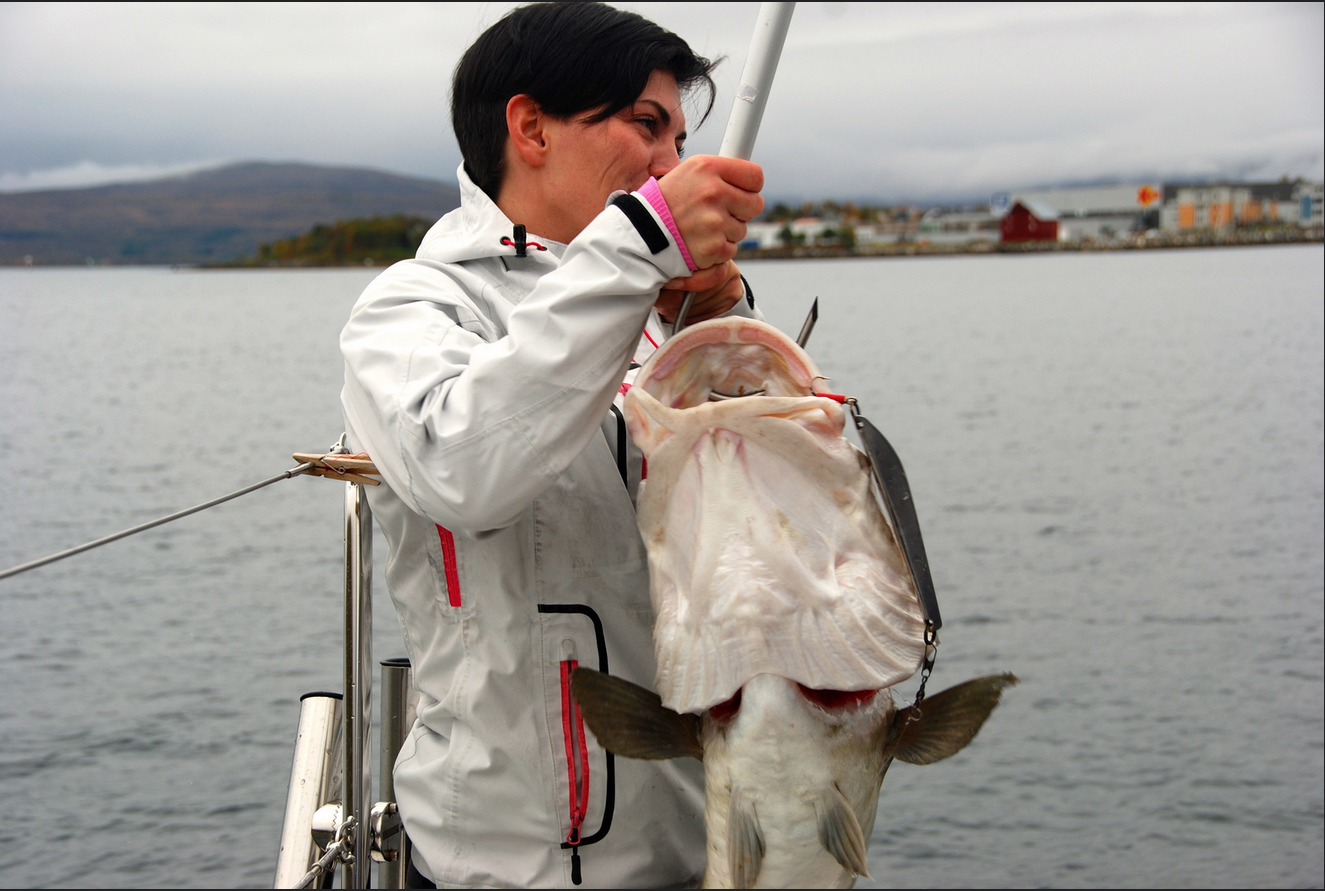 Fishing | Big Cod | Tromsoe