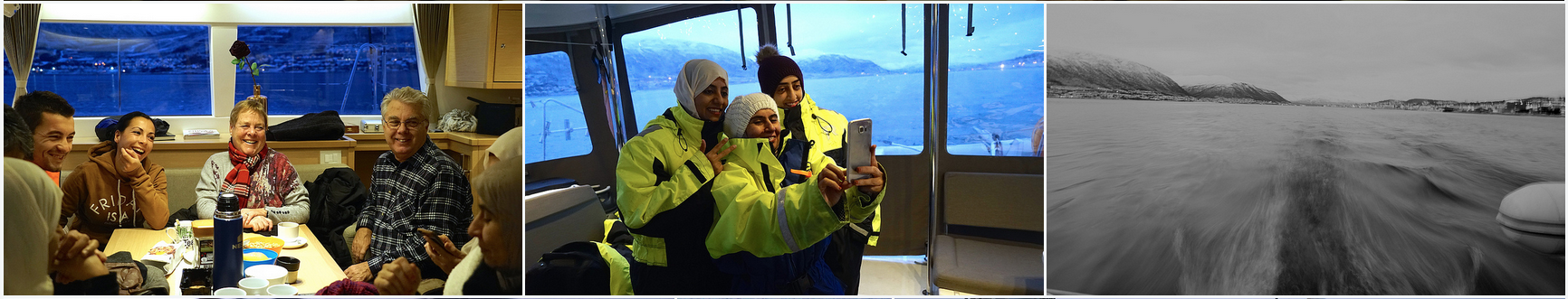 Arctic Princess | Whalewatching | Tromso