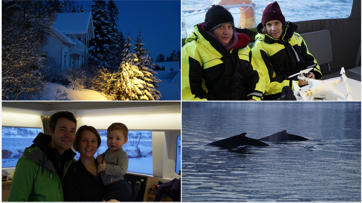 Whalewatching | Tromso | Arctic Princess