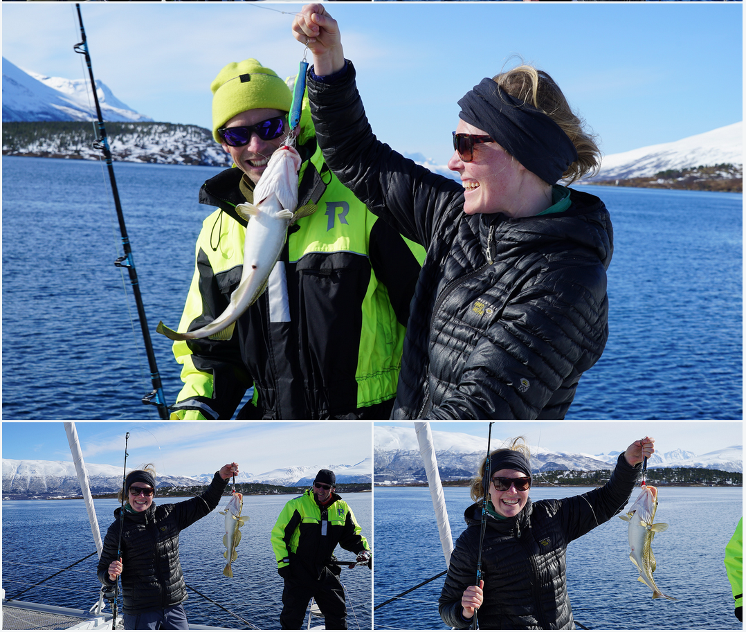 VIp Fishinb | Fjordcruise | Dinner sailing | Swimming