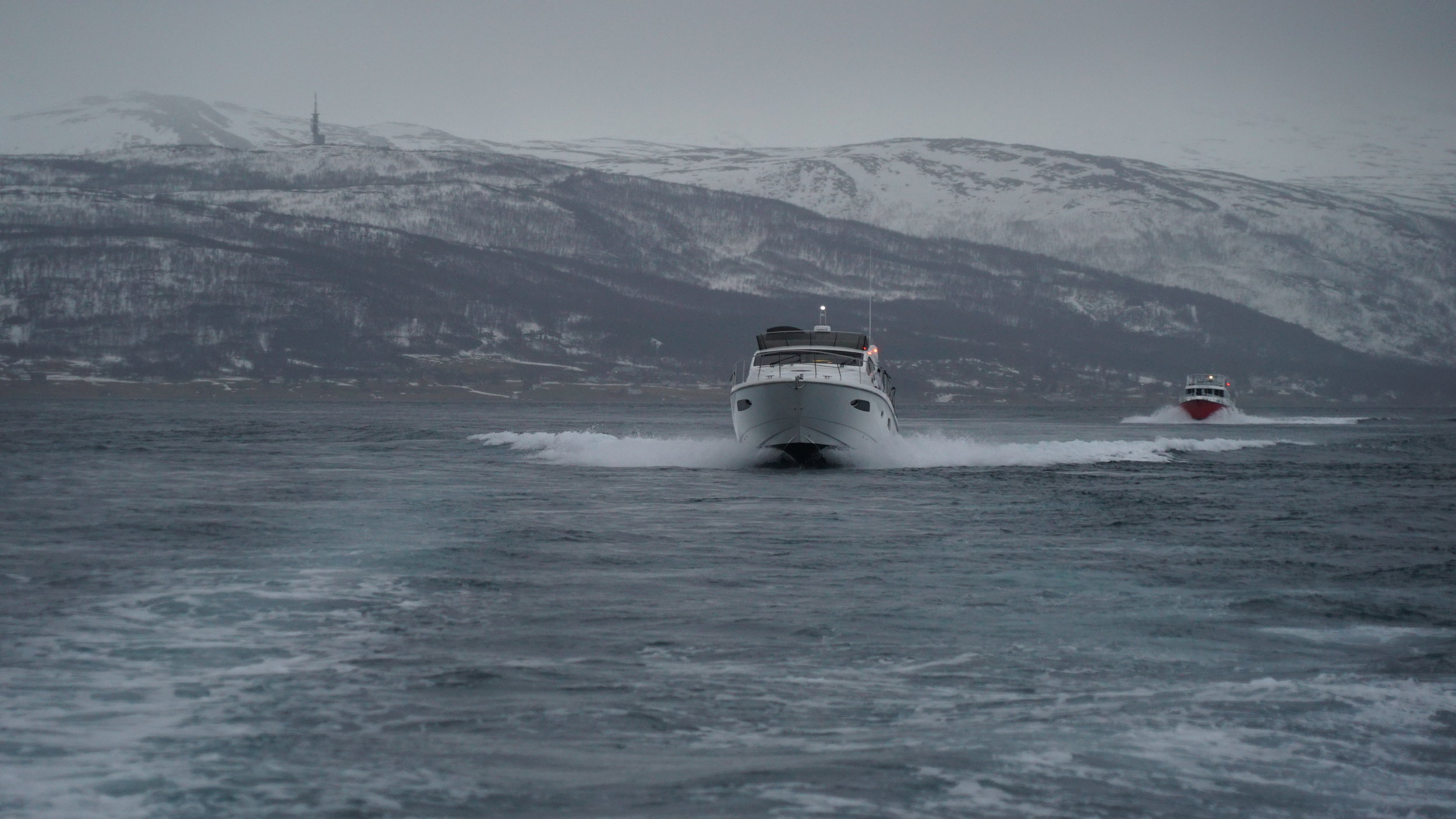 #Orcasafari | #Arctic Queen | #Tromso | Guests from Switzerland Spain