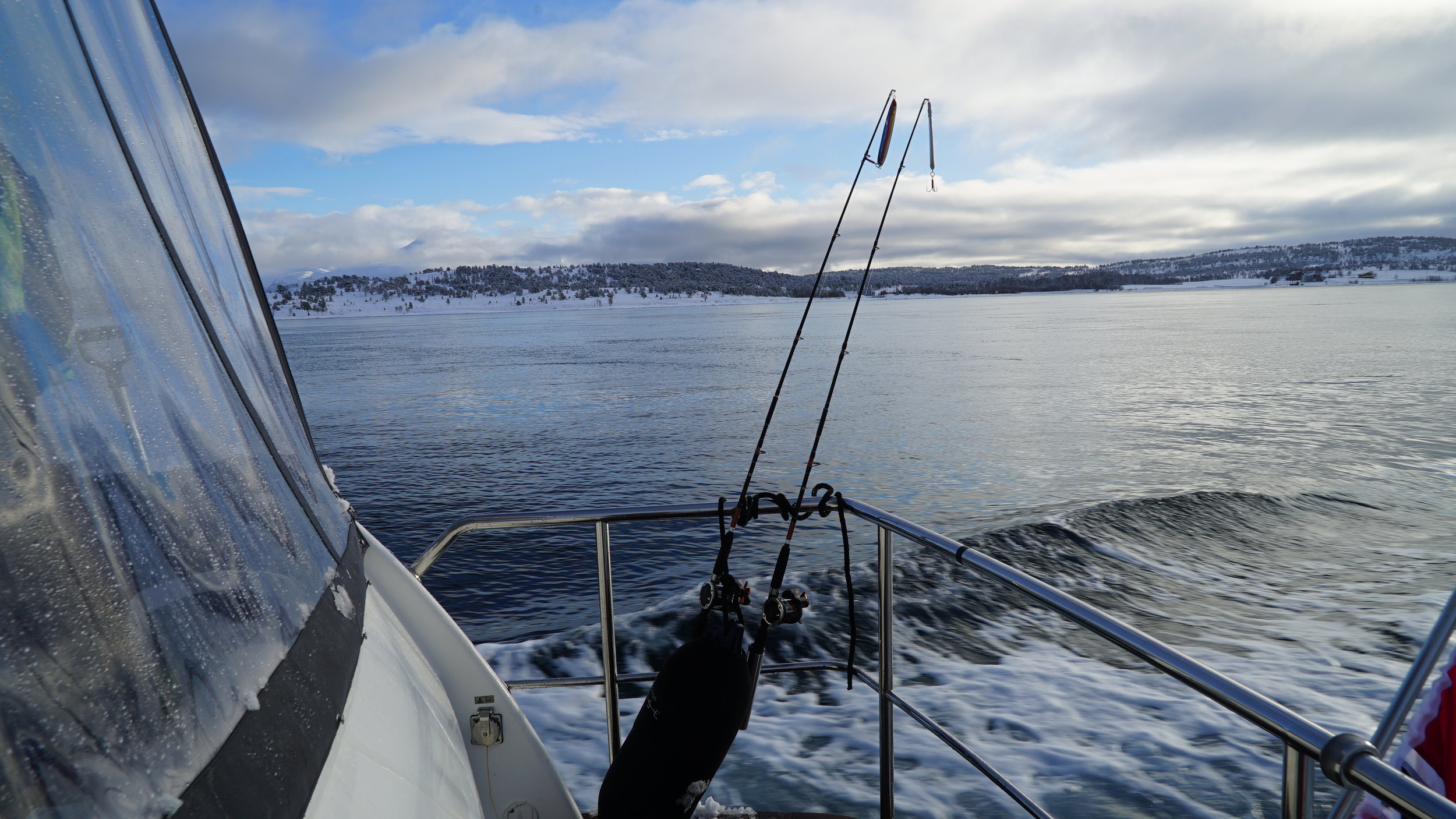 #VIP | 3 #Islands | #Sightseeiing | #Arctic Queen | #Tromsø | Guests from  Italy