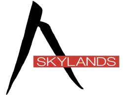 Skylands Acupuncture  Wllnss