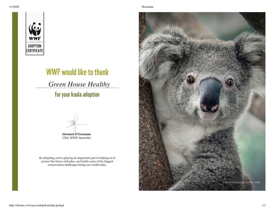 Green House Healthy Adopts Koala In Australia Green House Healthy