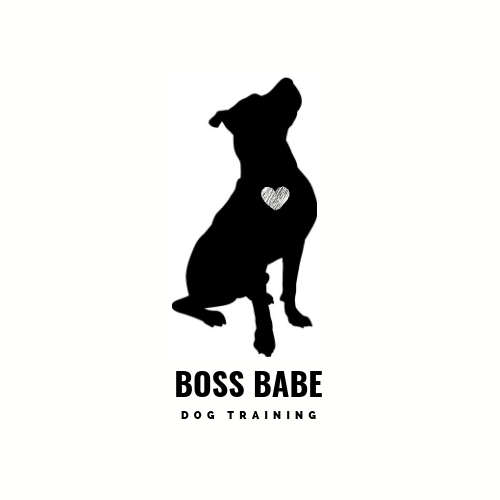 Boss Babe Dog Training | Professional 
