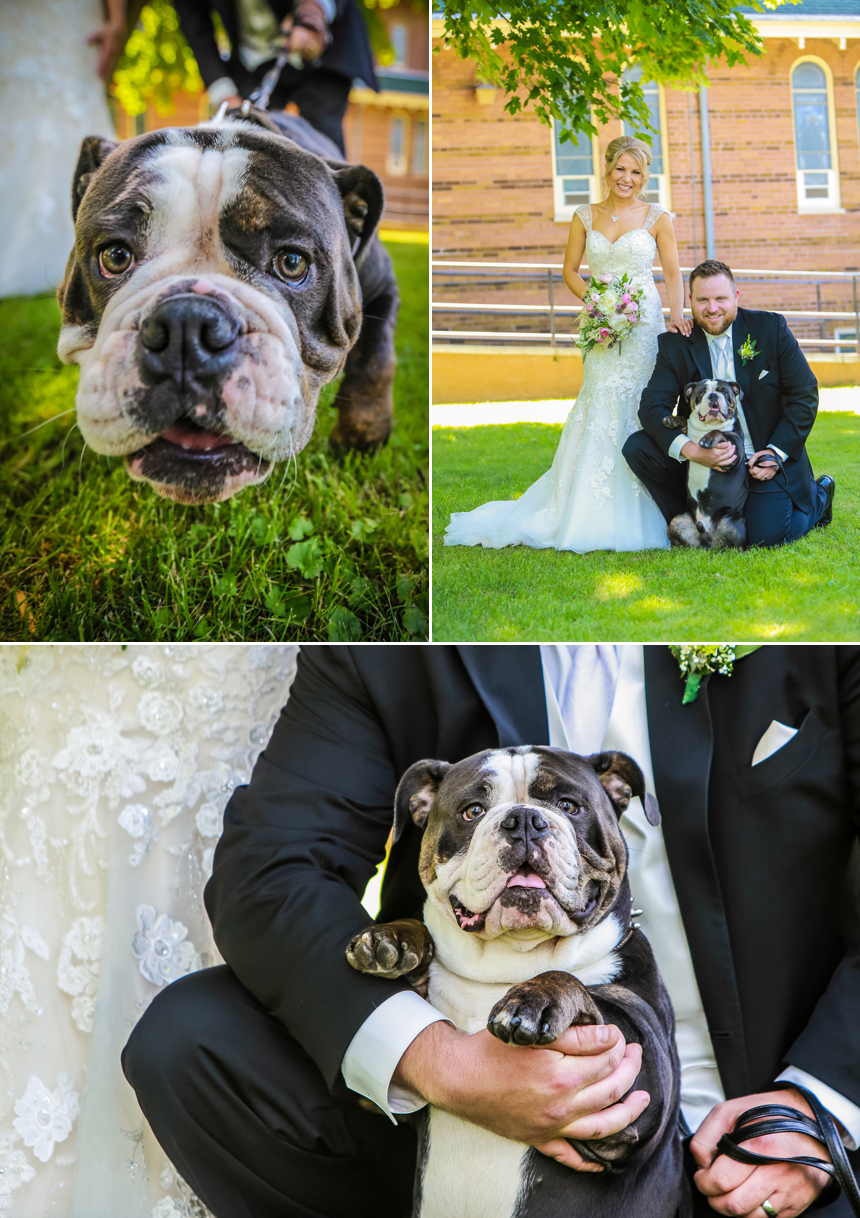 Twin Cities Best wedding photographer
