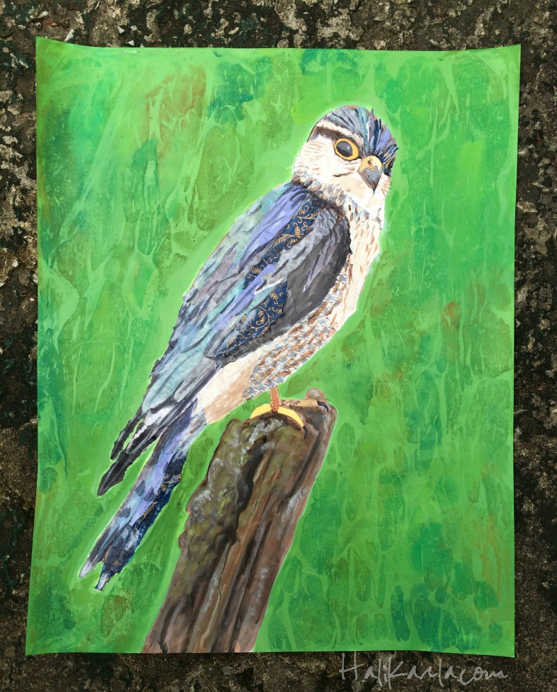 mixed media collage merlin falcon, 18x24 inches on paper, hali karla