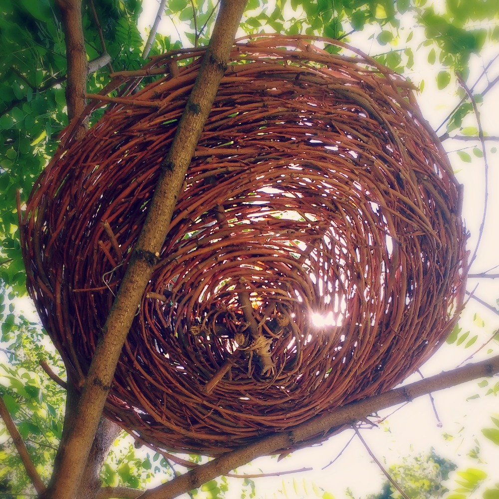 handmade nest in tree