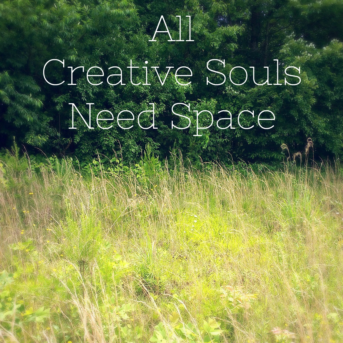 all creative souls need space