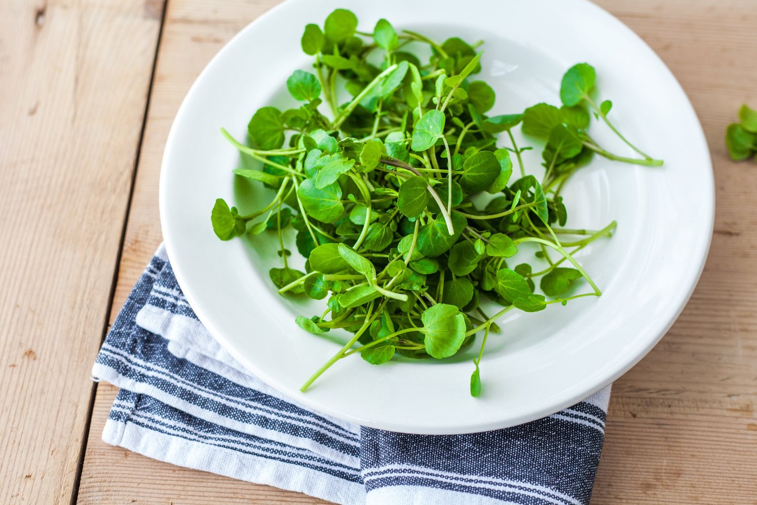 What part of watercress can you eat? — Watercress | Health, Recipes & More