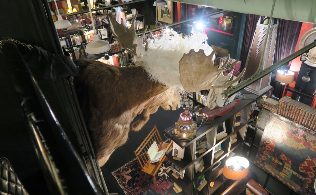 Bookstore - Asheville - The City Dweller (7)