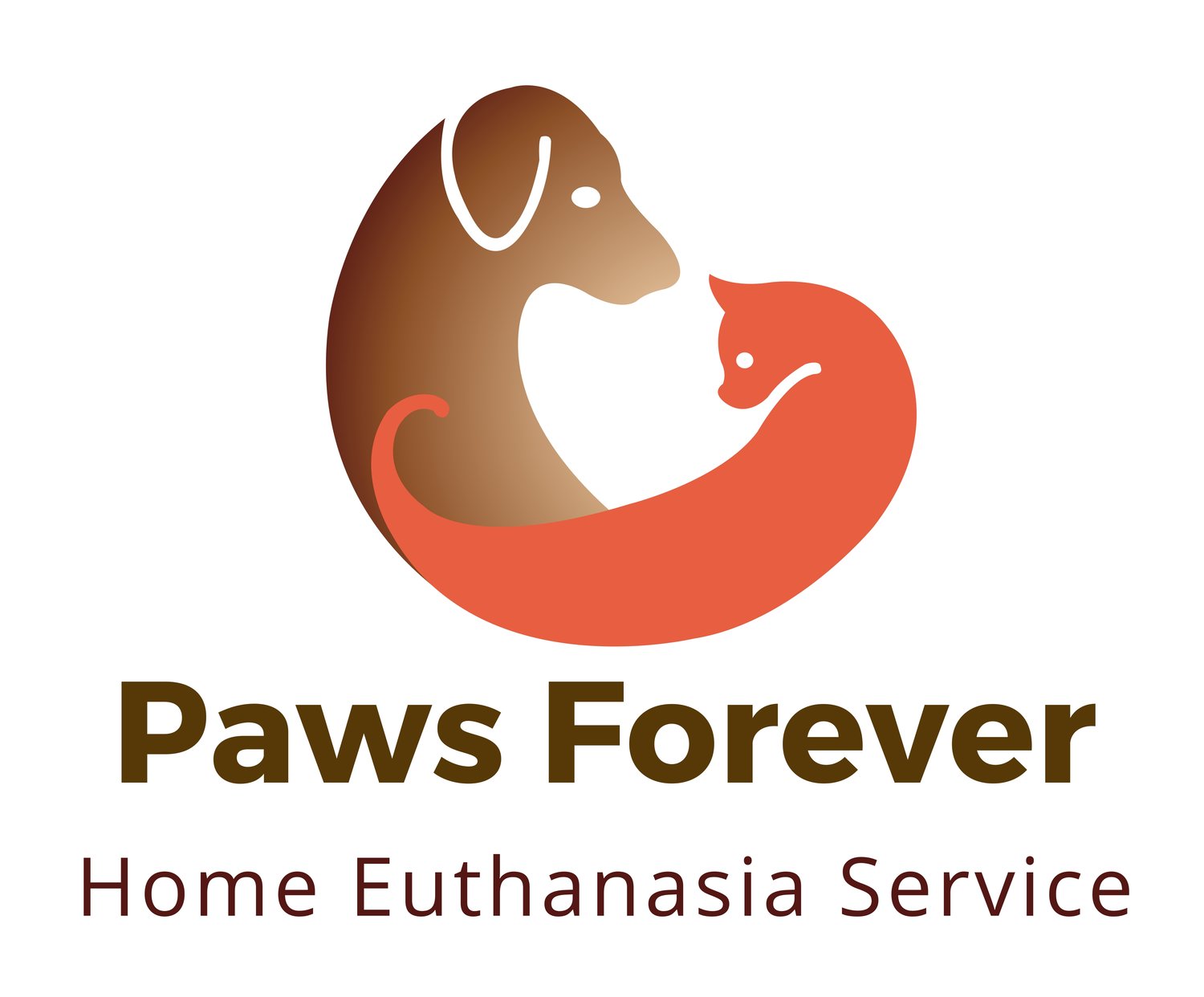 Cat Euthanasia — Paws Forever