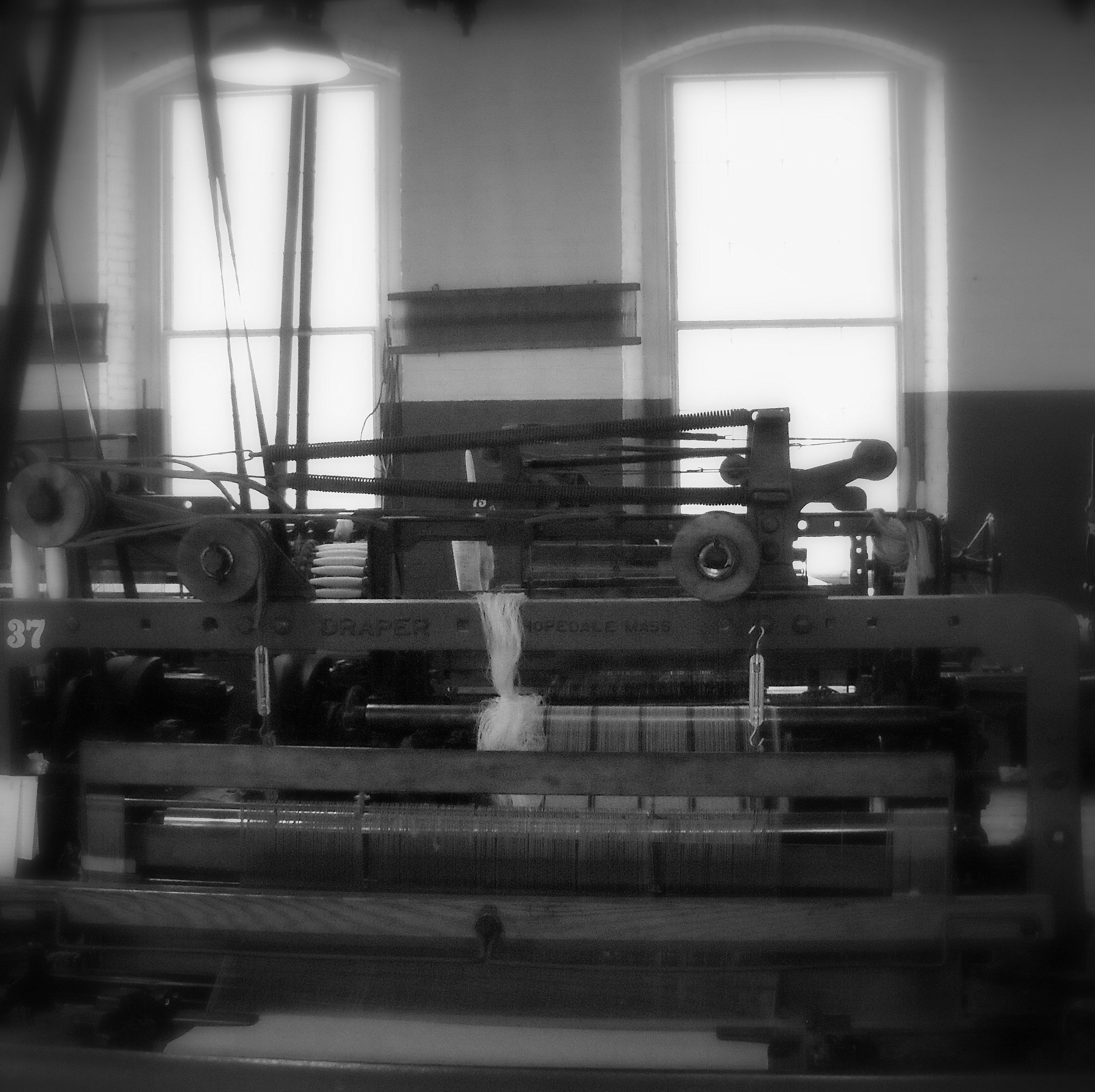 One of the Looms