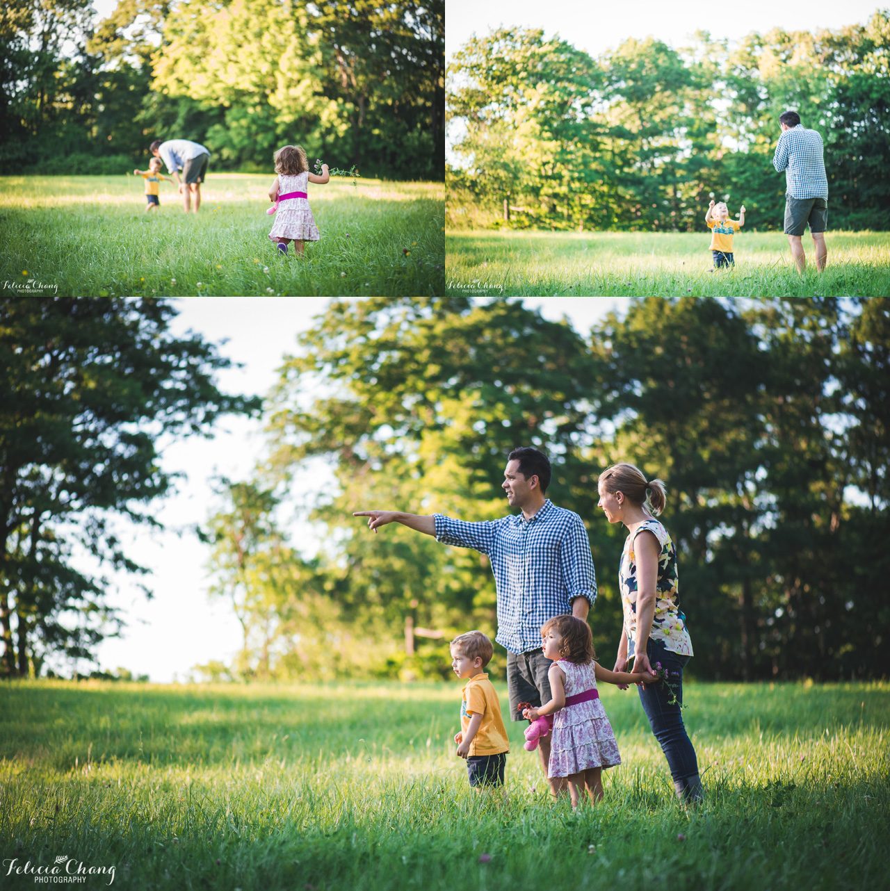 Family at sunset in the field, North Vancouver Family Photographer, Felicia Chang Photography