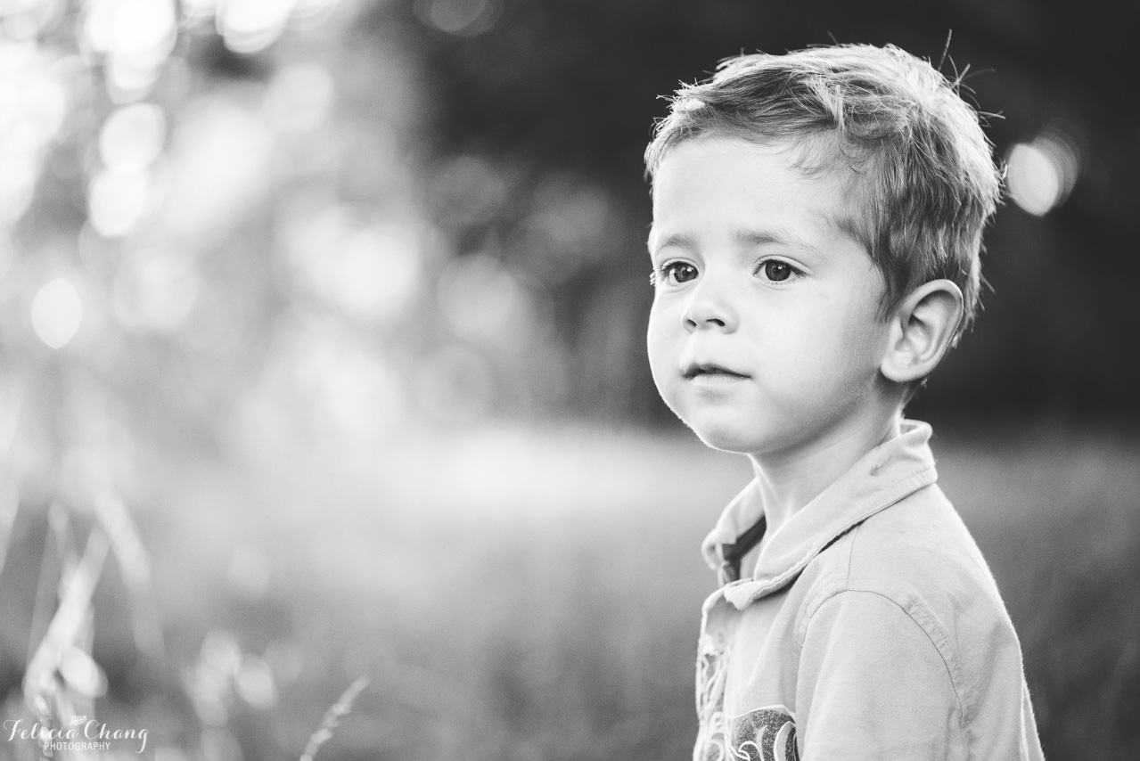 portrait of boy in the field, north vancouver family photographer, Felicia Chang Photography