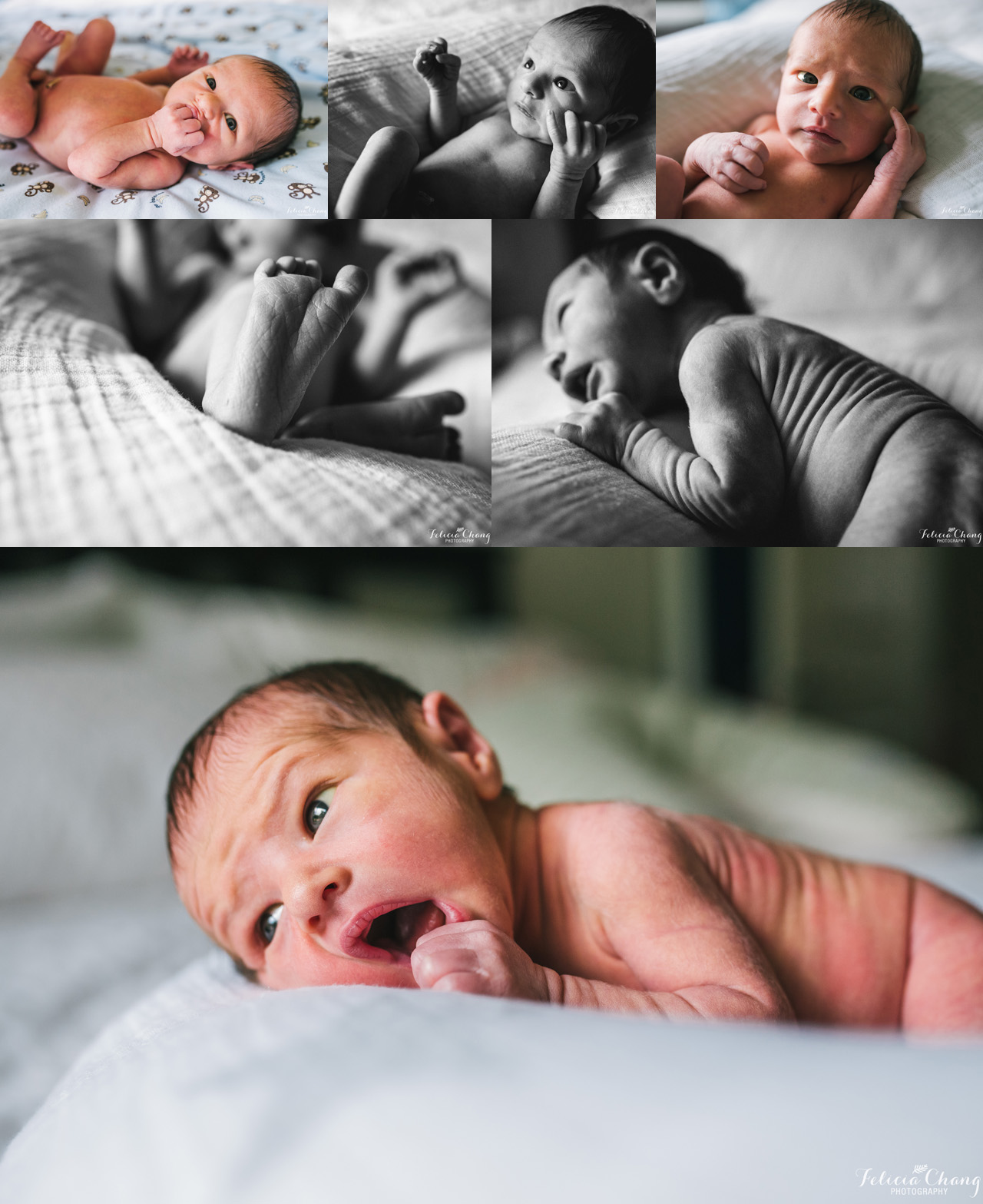 newborn baby boy portraits, North Vancouver newborn photographer, Felicia Chang Photography