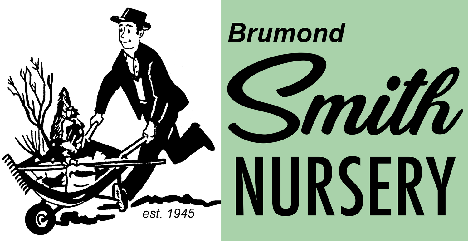 Brumond Smith Nursery Inc