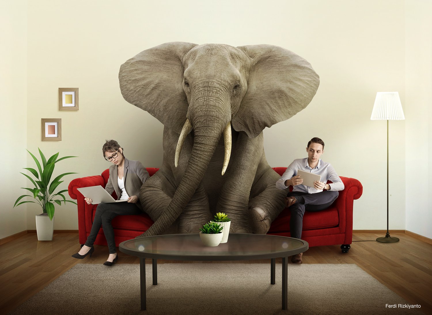 The Elephant In The Living Room Meaning