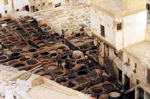 Leather Tannery